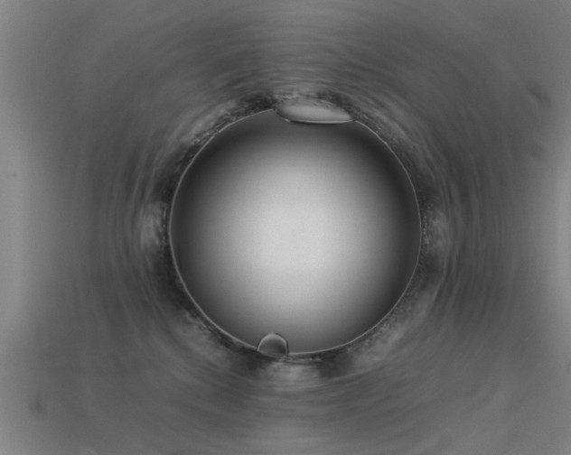 X0000113290280200909141211