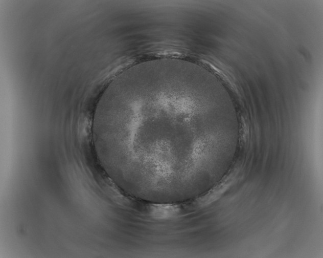 X0000113290281200909141211