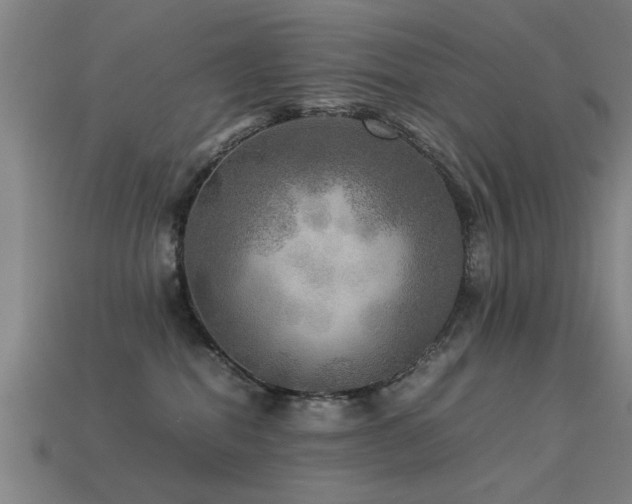 X0000113290282200909141211