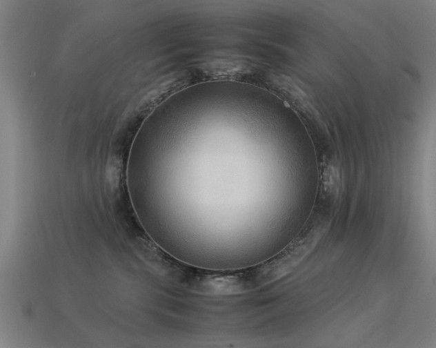 X0000113290283200909141211