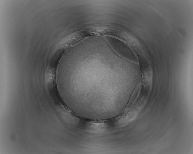 X0000113290284200909141211