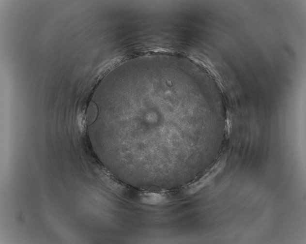 X0000113290285200909141211