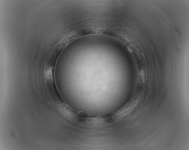 X0000113290286200909141211