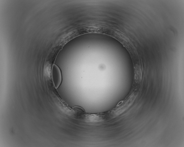 X0000113290287200909141211