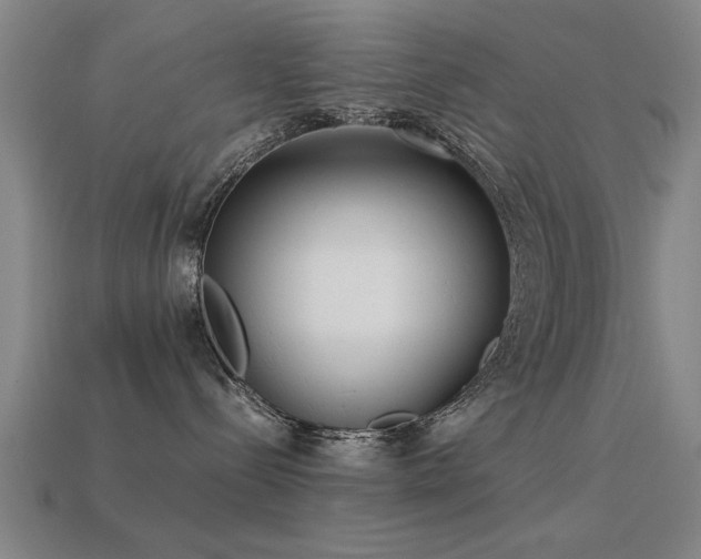 X0000113290288200909141211