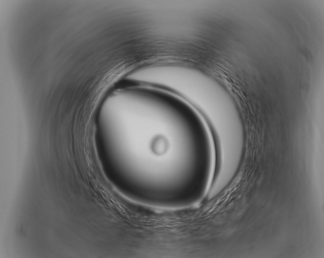 X0000113290289200909141210