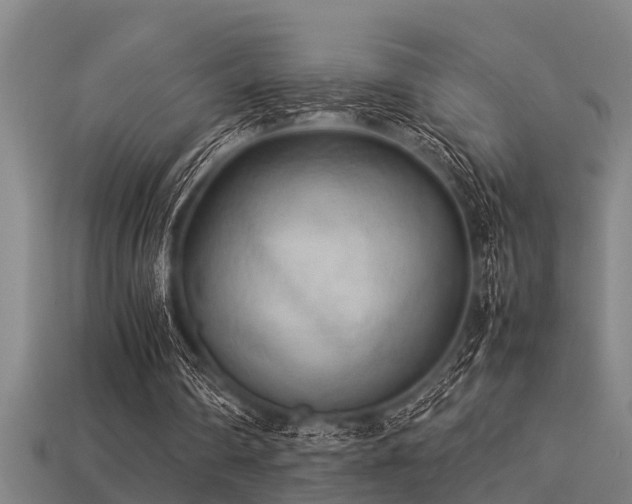 X0000113290290200909141210