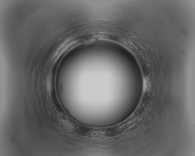 X0000113290291200909141210