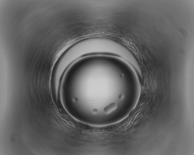 X0000113290292200909141210