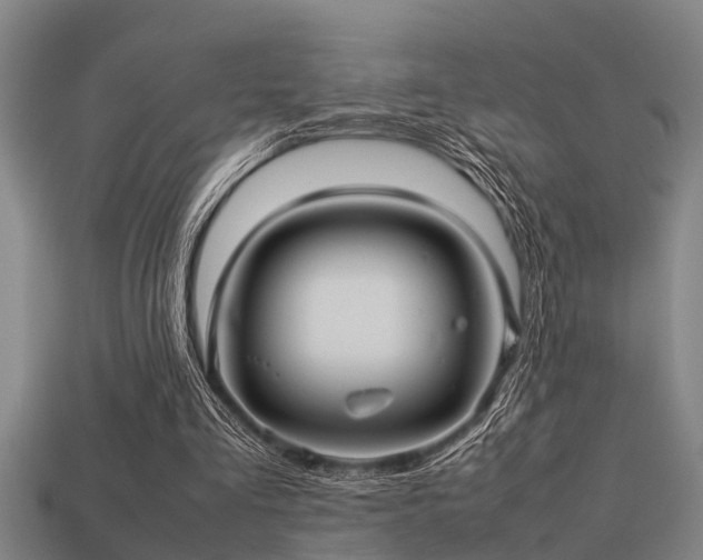 X0000113290293200909141210