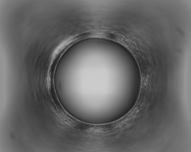 X0000113290294200909141210