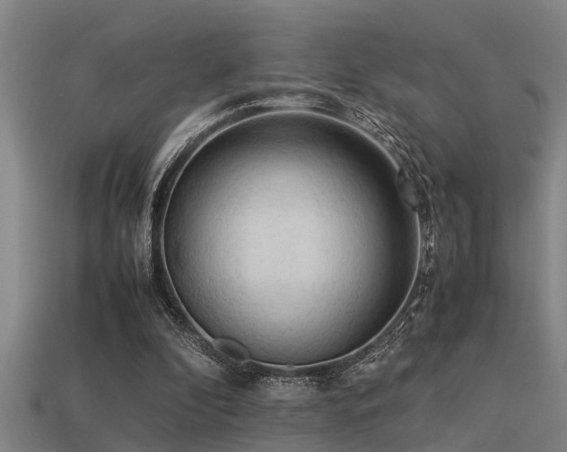 X0000113290296200909141210