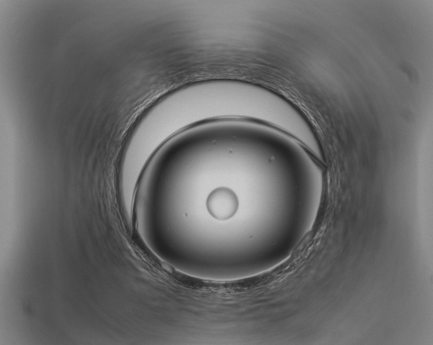 X0000113290297200909141210