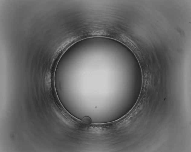 X0000113290298200909141210