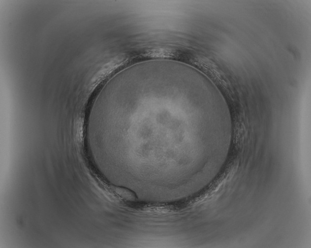 X0000113290299200909141210