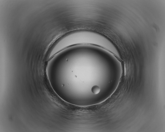 X0000113290300200909141210