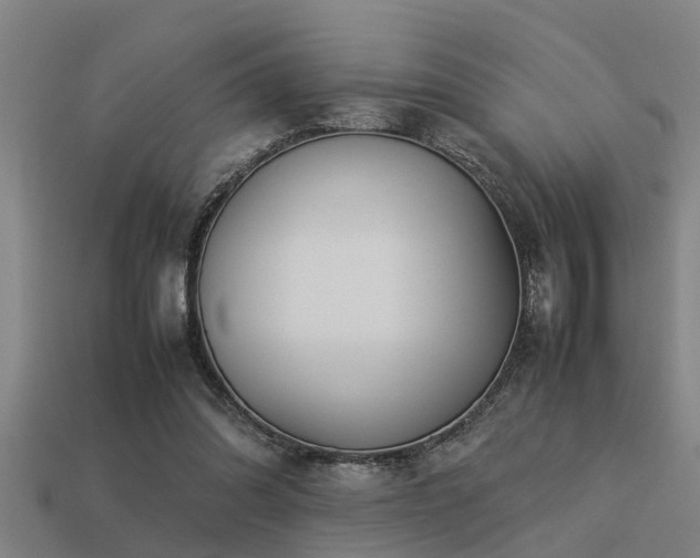 X0000113290302200909141210