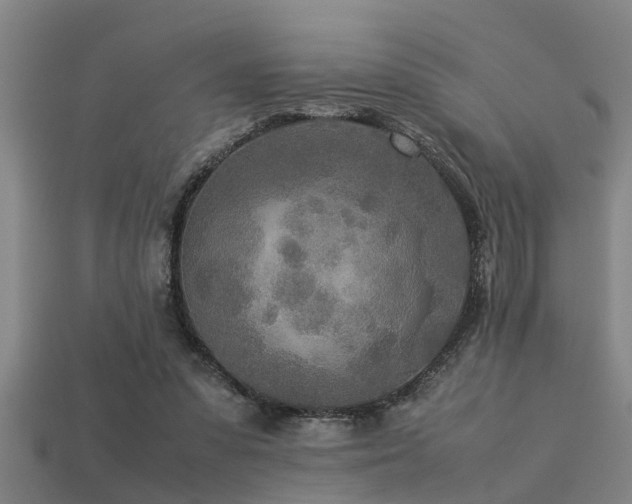 X0000113290303200909141210