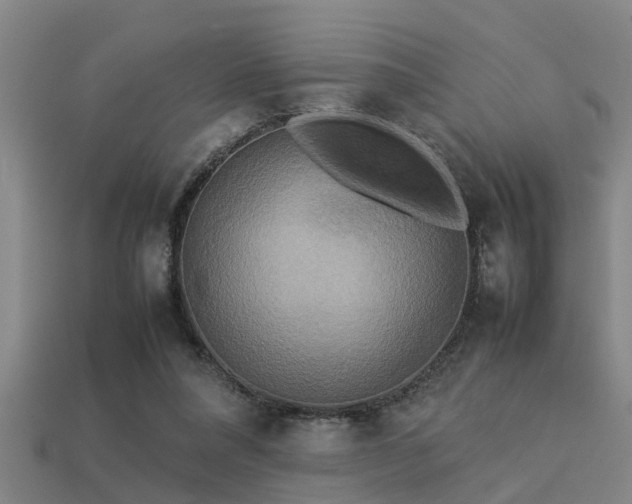 X0000113290304200909141210