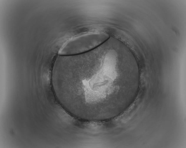 X0000113290305200909141210