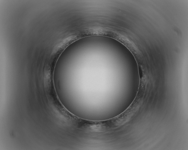 X0000113290306200909141210