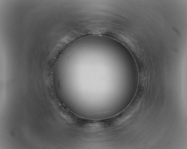 X0000113290307200909141210