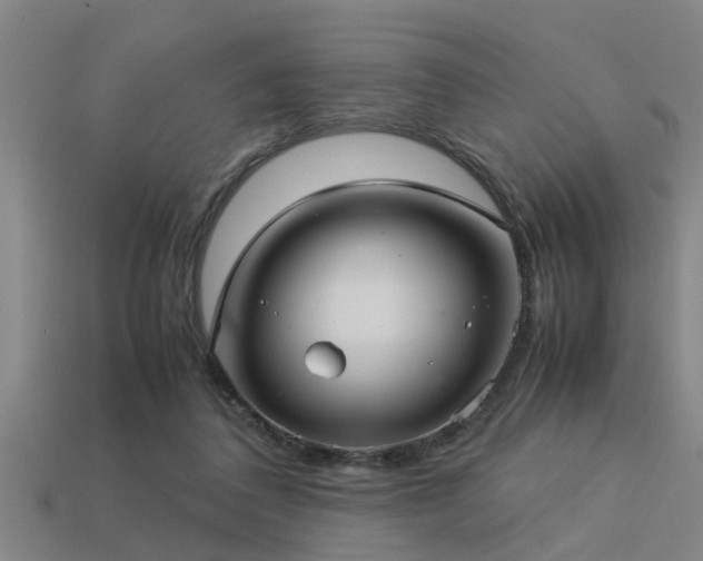 X0000113290308200909141210