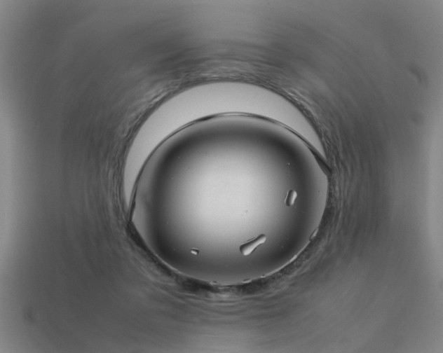 X0000113290309200909141210