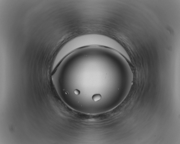 X0000113290312200909141210