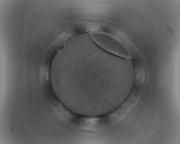 X0000113290313200909141210