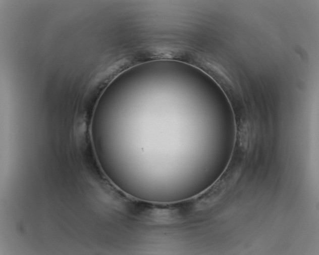 X0000113290314200909141210