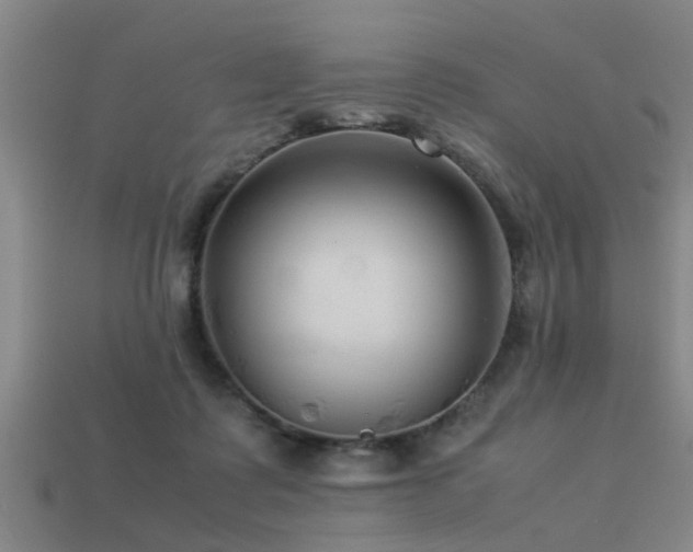 X0000113290315200909141210