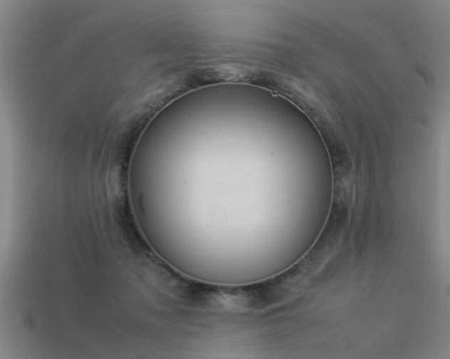 X0000113290317200909141210