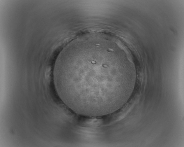 X0000113290319200909141210