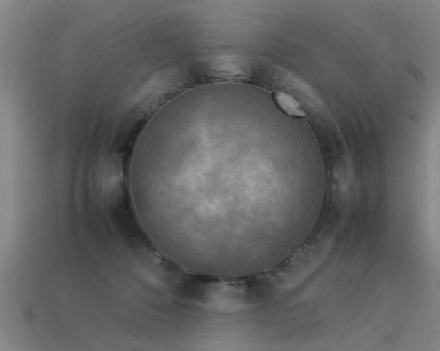 X0000113290320200909141210