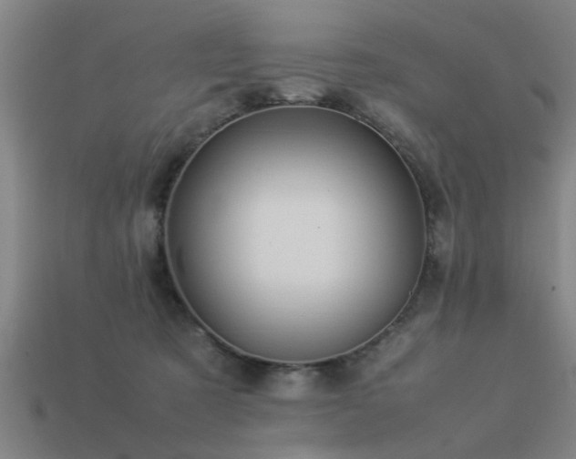 X0000113290321200909141210