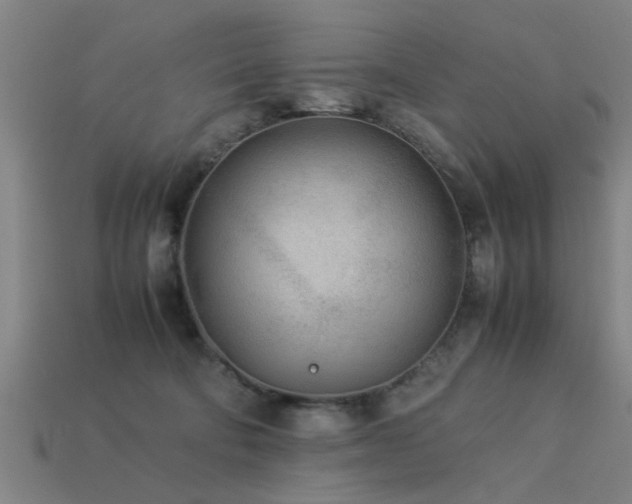 X0000113290322200909141210