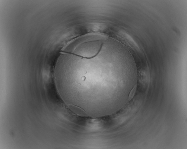 X0000113290324200909141210