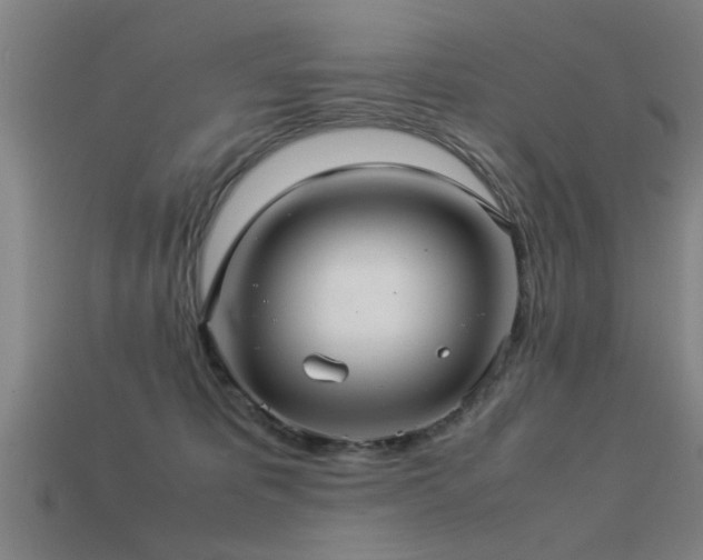 X0000113290325200909141210