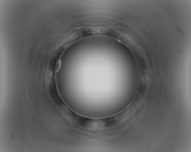 X0000113290327200909141210