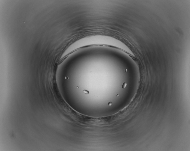 X0000113290328200909141210