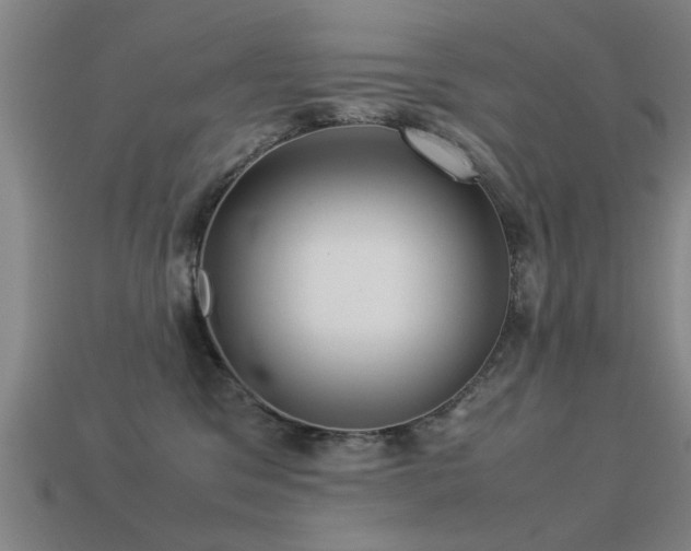 X0000113290329200909141210