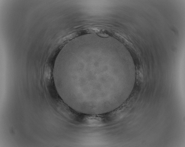 X0000113290331200909141210