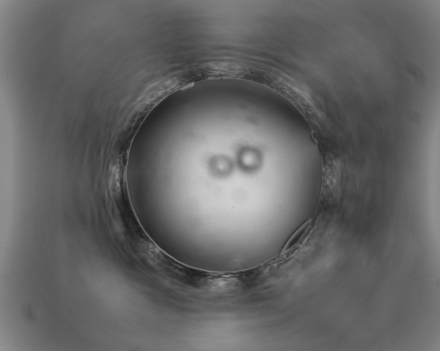 X0000113290333200909141209