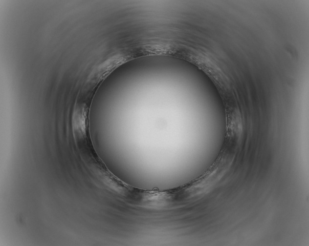 X0000113290334200909141209