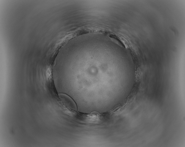 X0000113290335200909141209