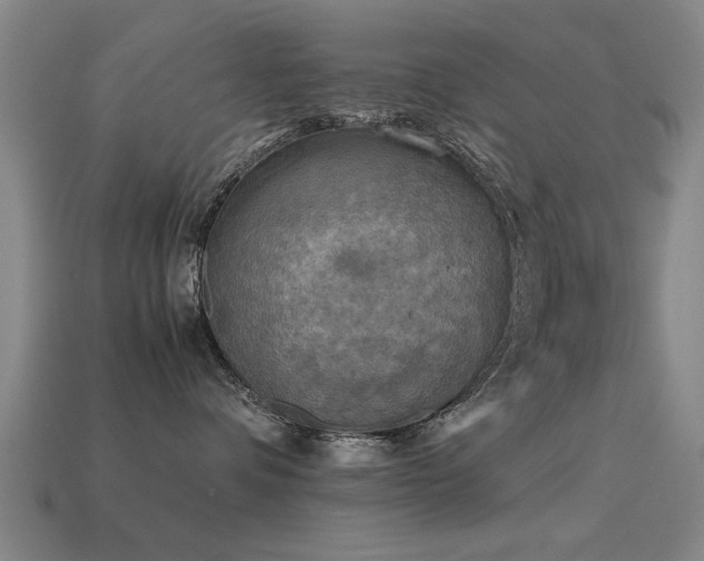 X0000113290336200909141209