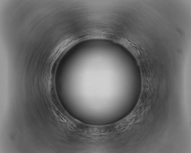 X0000113290338200909141209