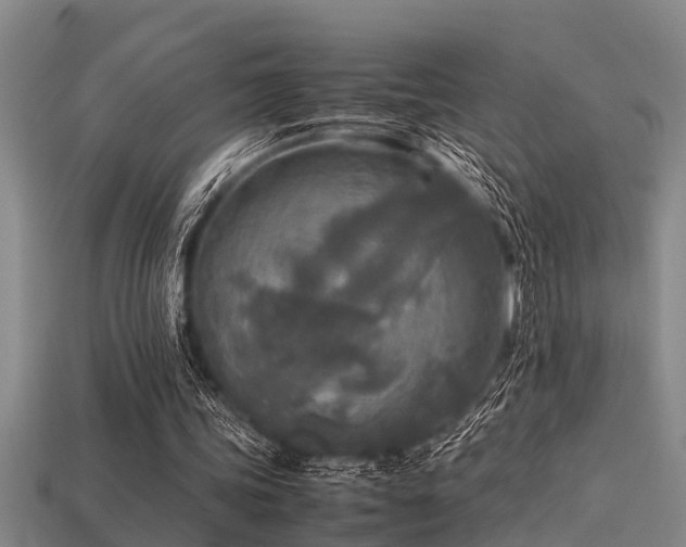 X0000113290339200909141209