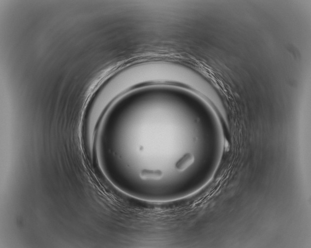 X0000113290340200909141209